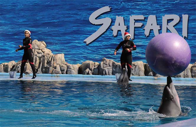 safariworld